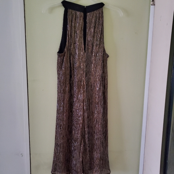 🦄 Metallic Catherine Malandrino Dress - Picture 6 of 7